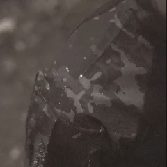 Ashvord Hybrid Shell